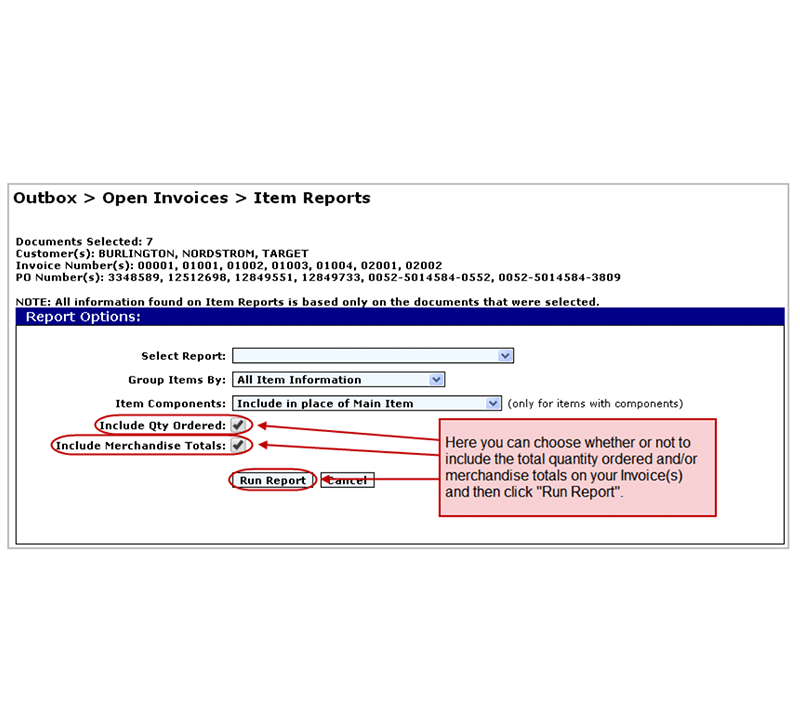 eZCom's Lingo software item reports function